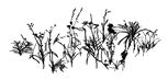 Atelier Shül - Home